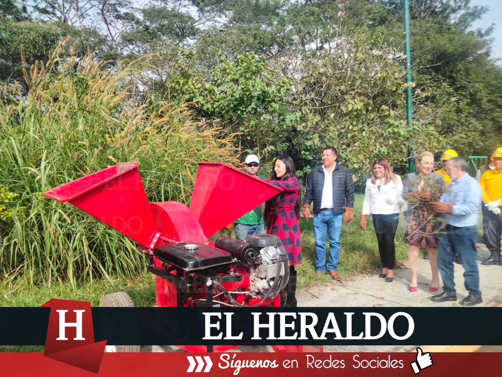 El Heraldo De Tuxpan Buscan Reciclar M S De Mil Rboles De Navidad