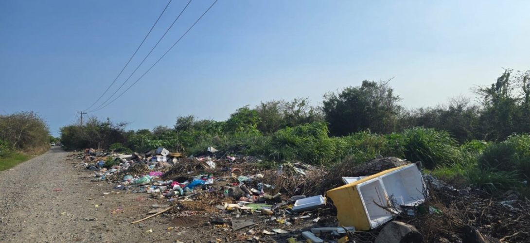 Multarán con 20 mil salarios mínimos a quien tire basura 
