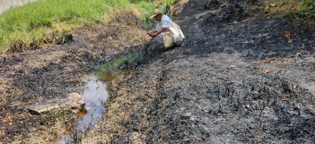 Derrames acaban con 90% de la fauna