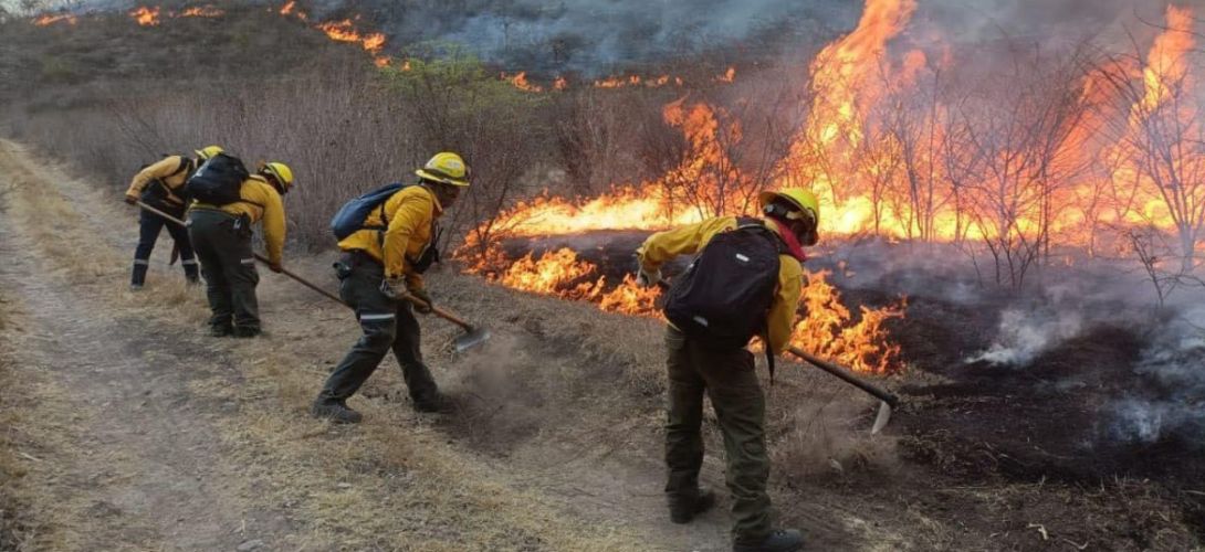 Gobierno de Tuxpan emite recomendaciones para prevenir incendios de pastizales en colonias y zonas suburbanas