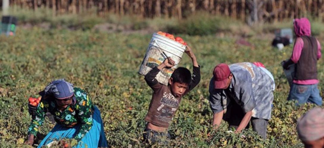 Senadores hablan de explotación infantil