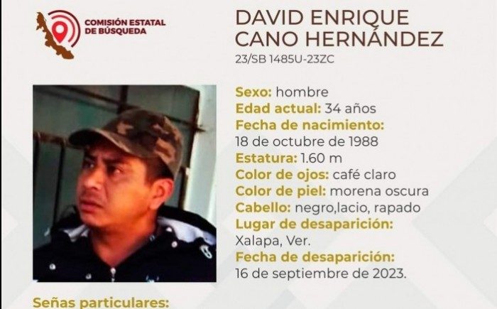 david