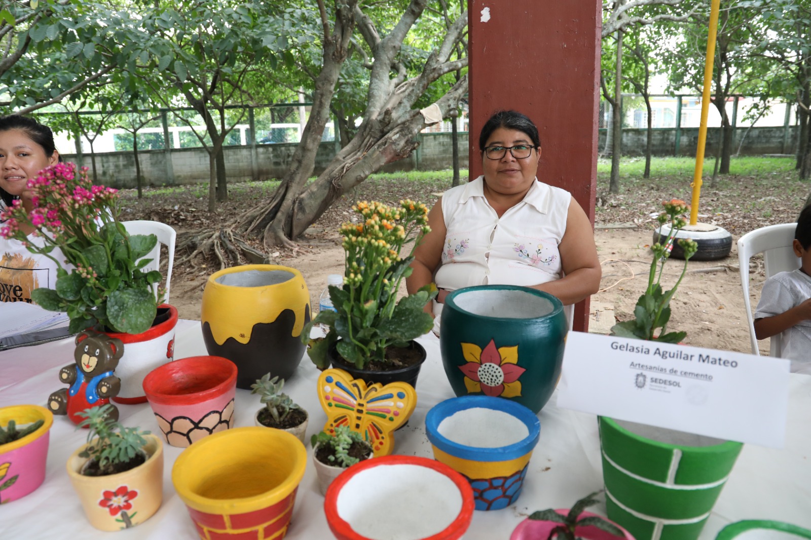 proyectos3