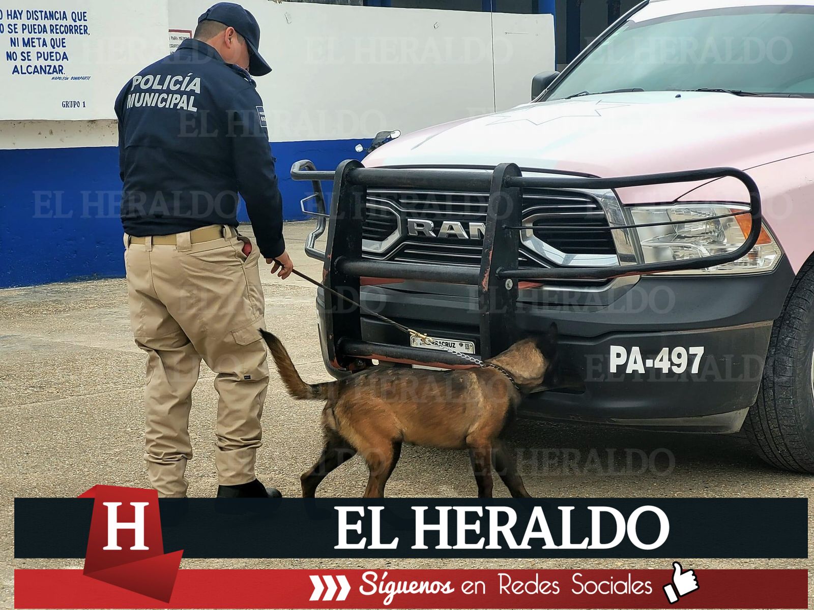 operativo3