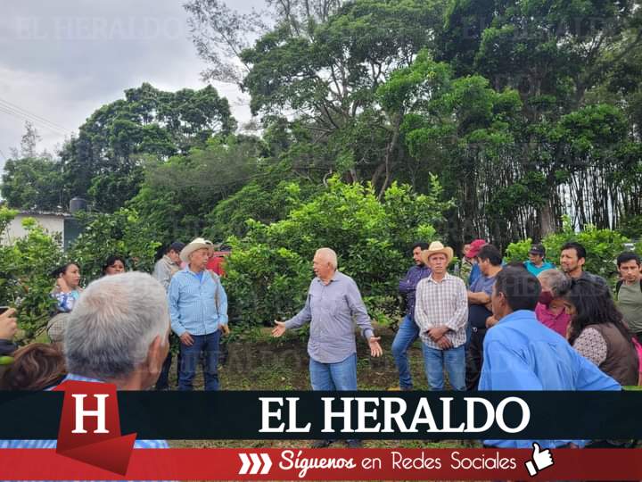 escuelas campesinas2