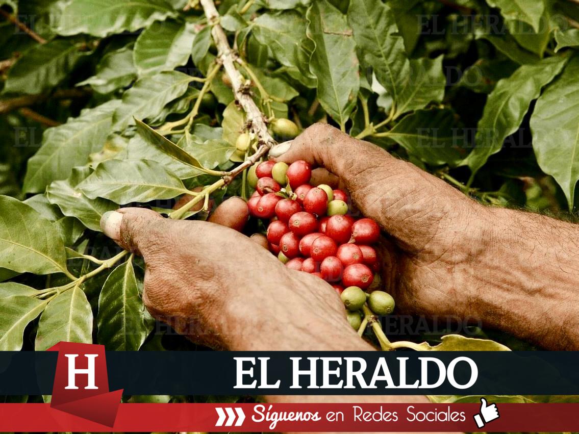 Empresas apoyan 1