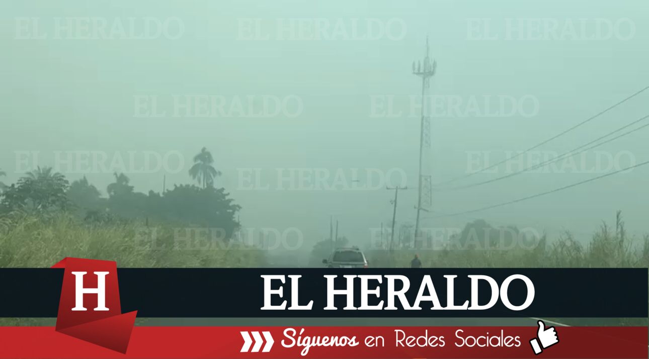 Niebla3