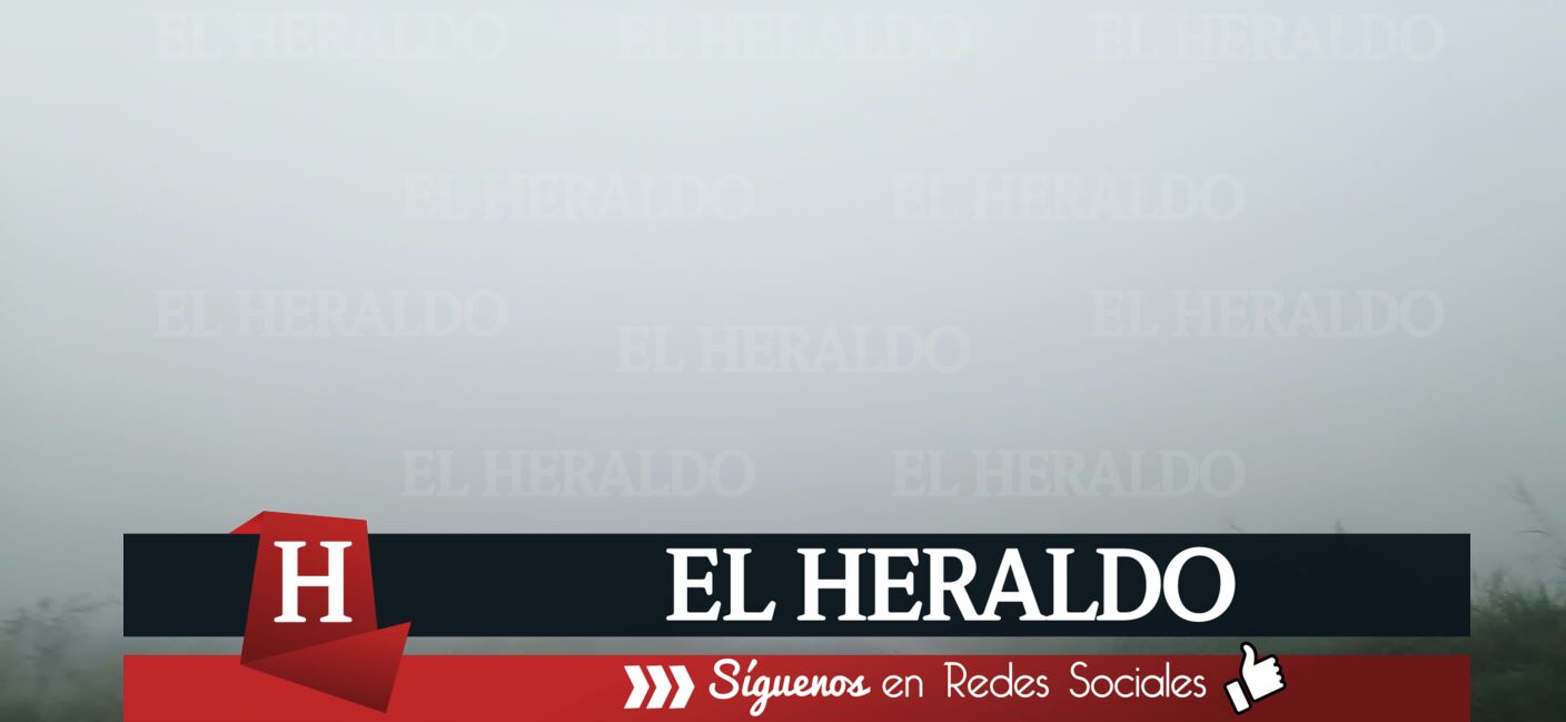 Niebla4
