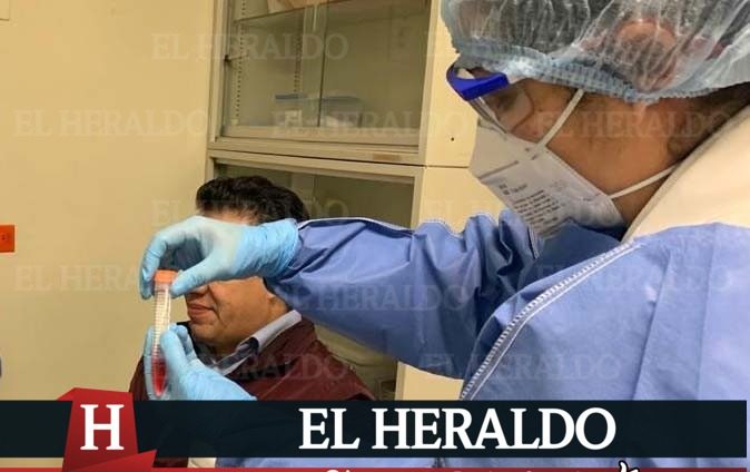 Ocupación de 11