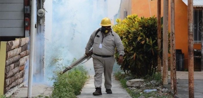 MUERTES POR DENGUE