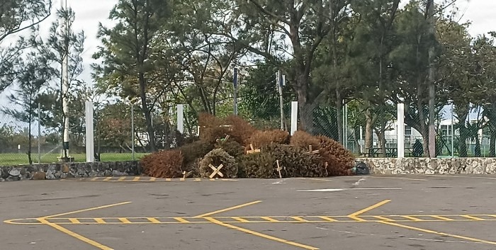 RECICLAN PINOS