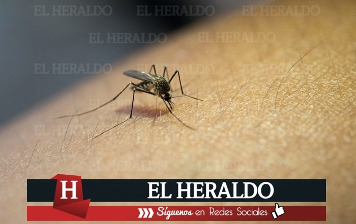 Este inicio de año Veracruz dobla número de casos de dengue en relación al 2023
