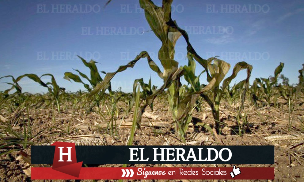 Con sequía extrema 23 municipios del norte de Veracruz