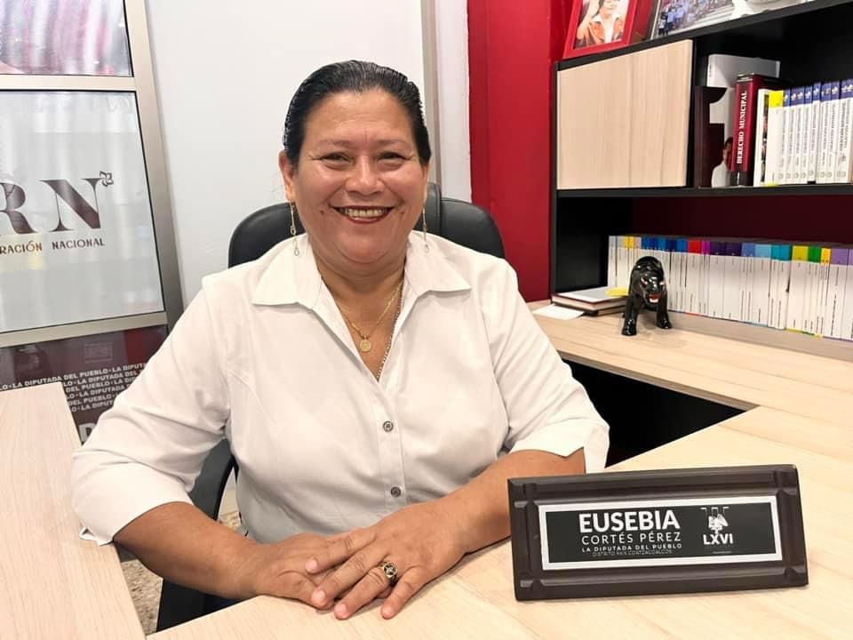diputada2