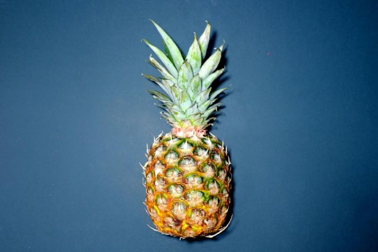 PIÑA3