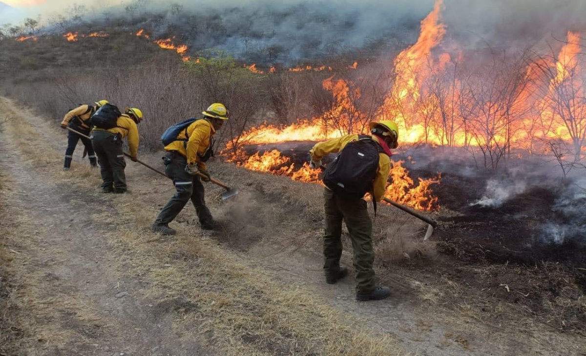 incendios