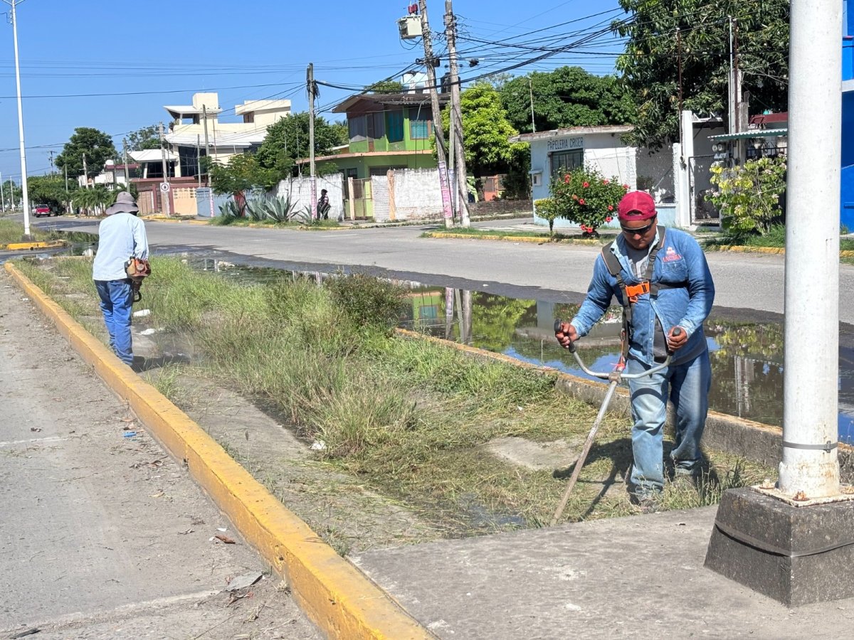 se realiza la limpieza 3