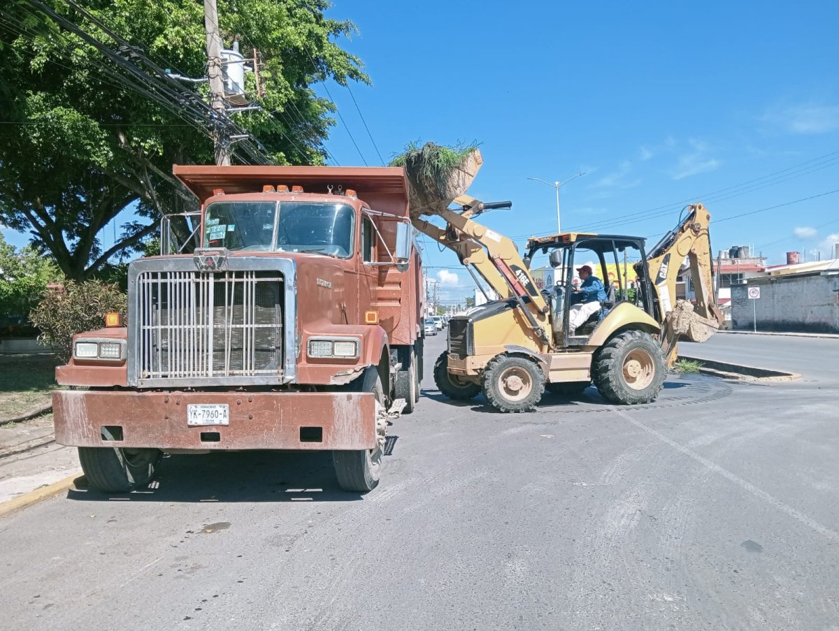 se realiza la limpieza 4