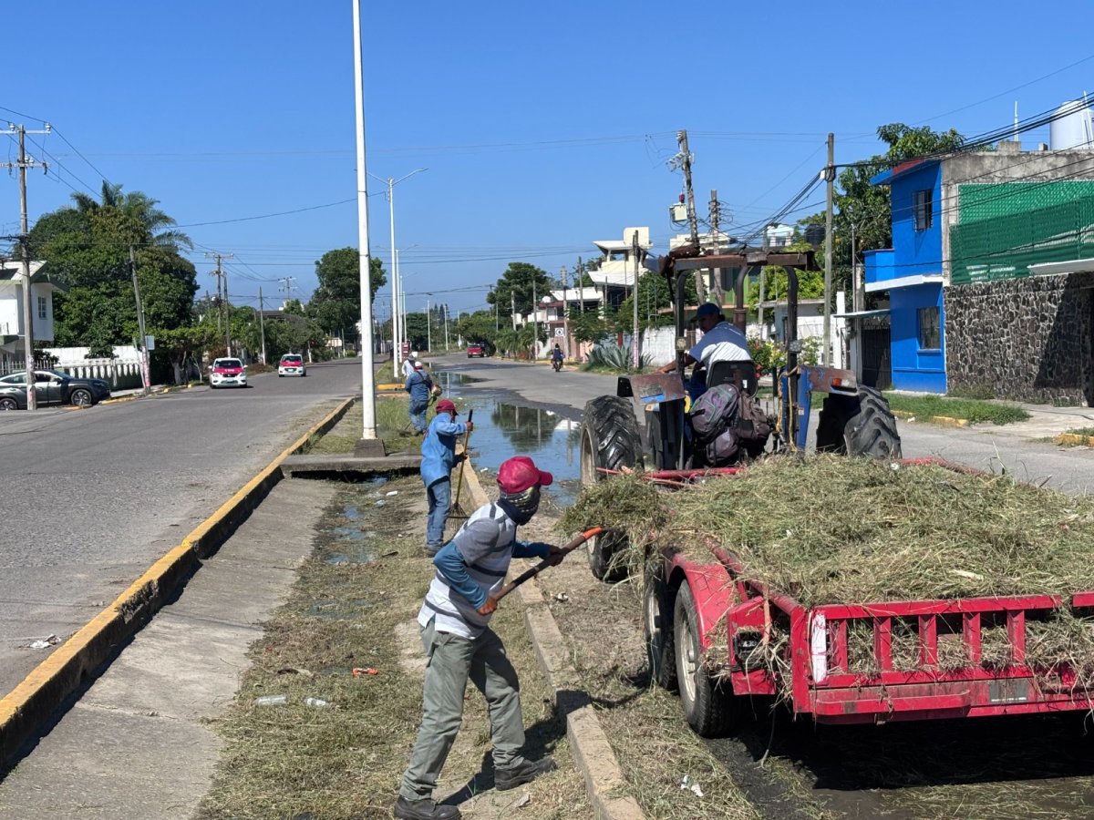 se realiza la limpieza 5