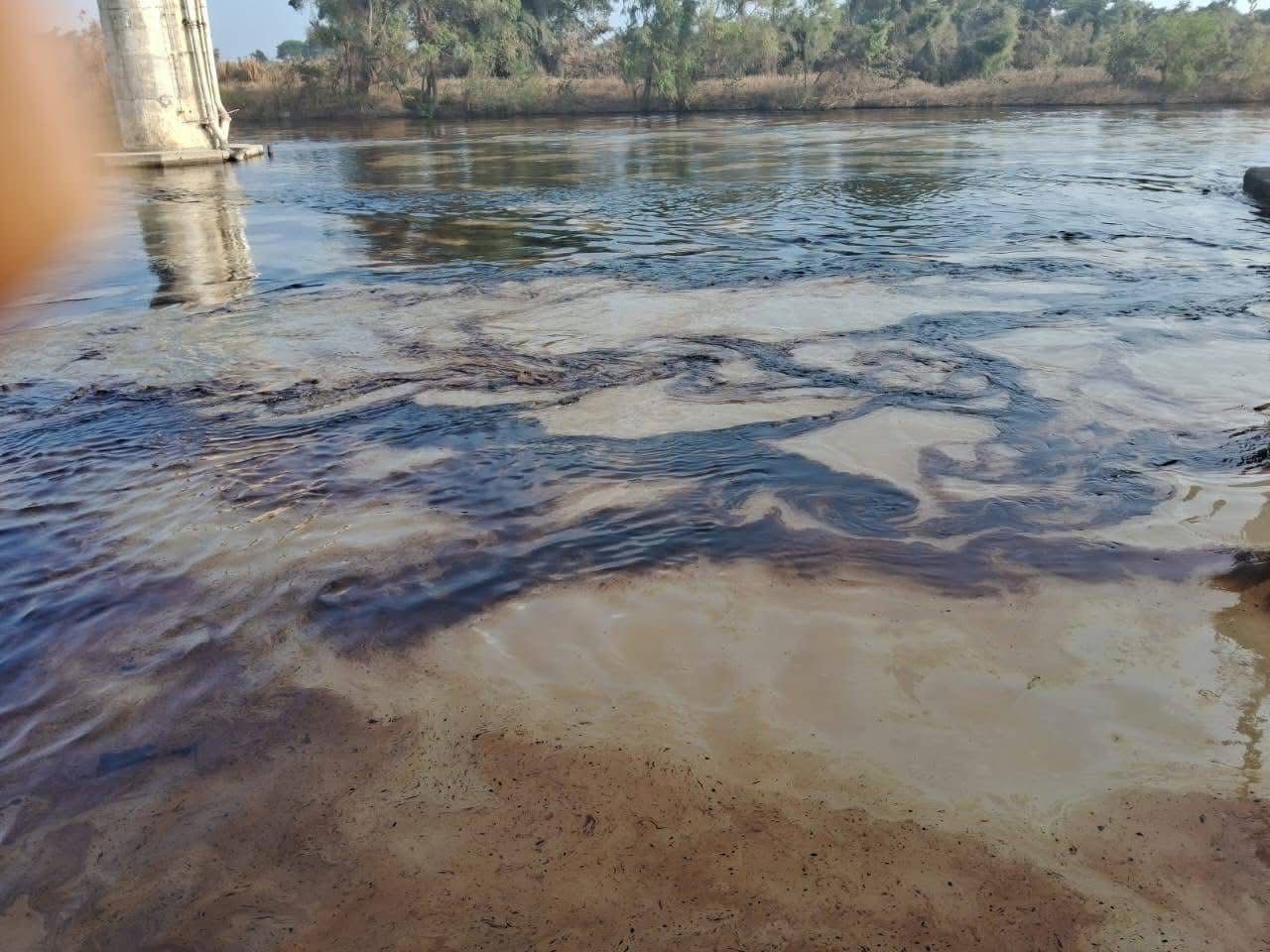 WhatsApp Image 2025 10 20 at 9.58.33 AM