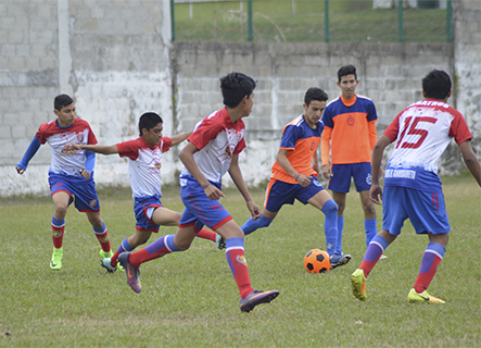 El Heraldo de Tuxpan - Cefor se queda con el extra