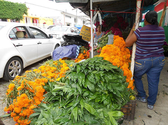 El Heraldo de Tuxpan - Se reactivan ventas de flores de temporada