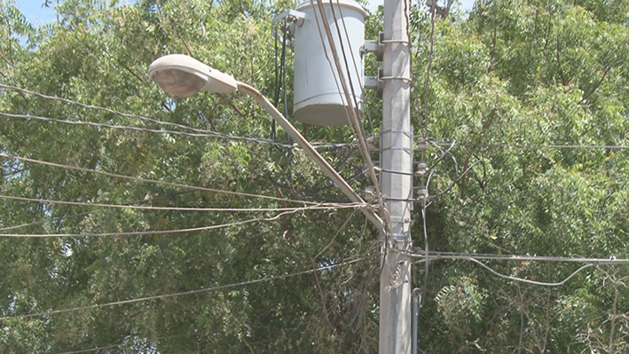 El Heraldo de Tuxpan - Piden desrame de arboles