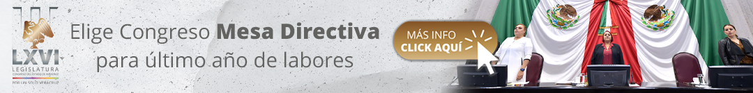 Banner Top - Congreso Veracruz